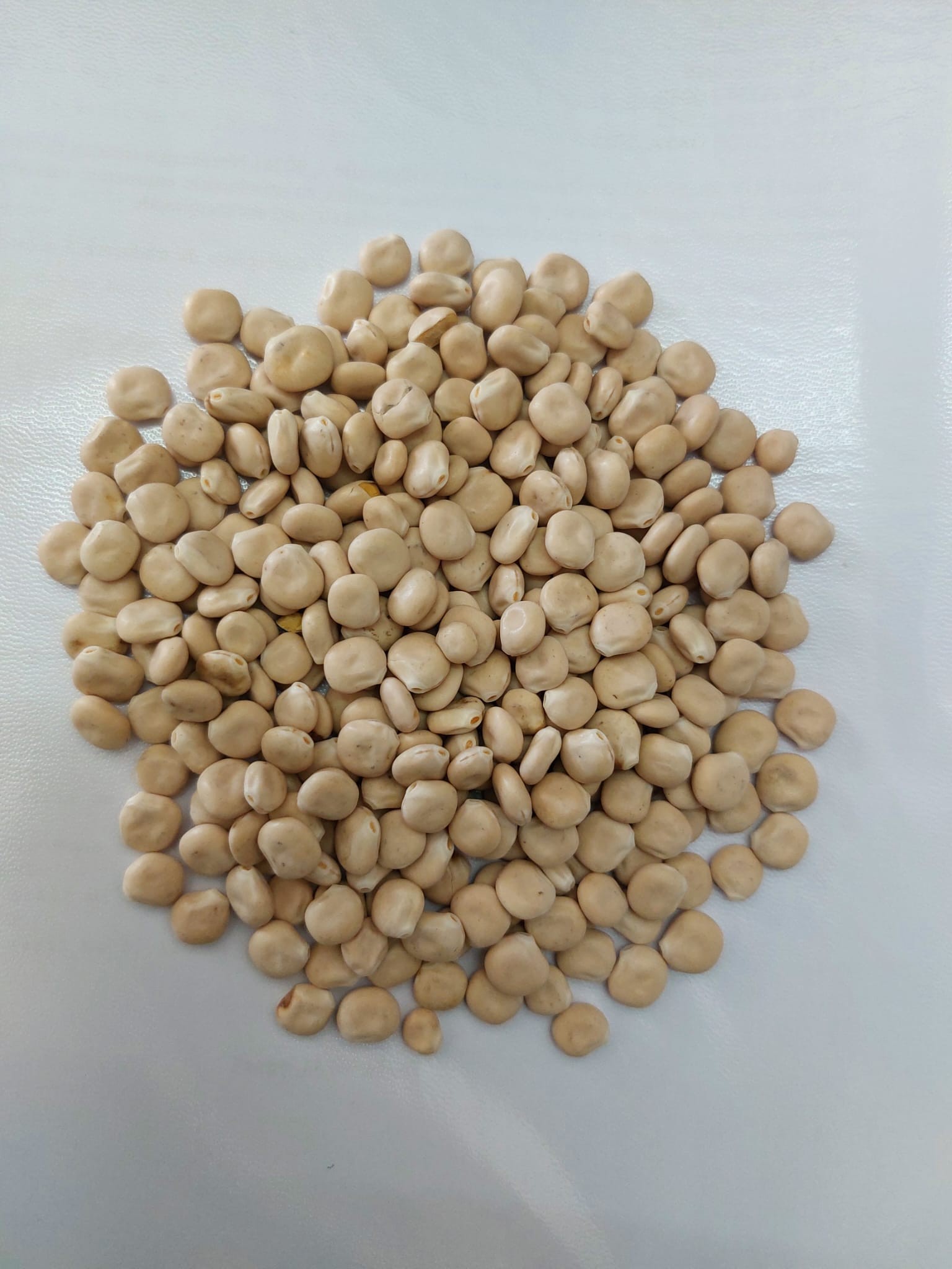 Care sunt beneficiile lupinului ?